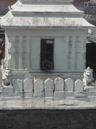 Inde_Puri_Jagannath_temple_DSCF2284.jpg